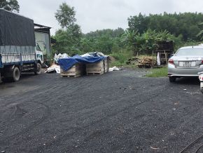 Cưa xẻ gỗ xuất khẩu theo quy cách yêu cầu 12