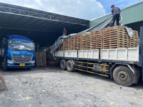 Pallet gỗ 36