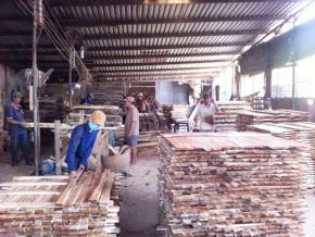 Cưa xẻ gỗ xuất khẩu theo quy cách yêu cầu 04