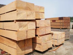 Cung cấp các loại gỗ 10