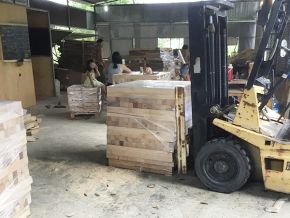 Cưa xẻ gỗ xuất khẩu theo quy cách yêu cầu 11