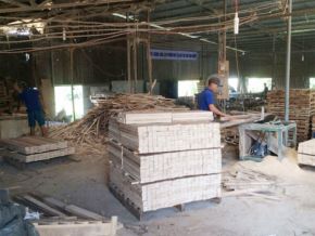 Cưa xẻ gỗ xuất khẩu theo quy cách yêu cầu 01